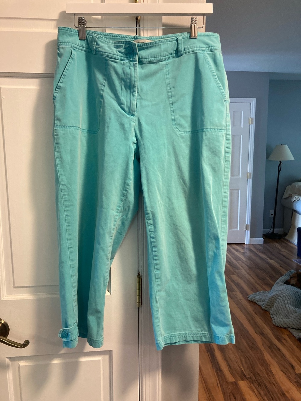 Coldwater Creek Aqua Capris